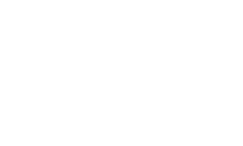 Advance Auto Parts Logo