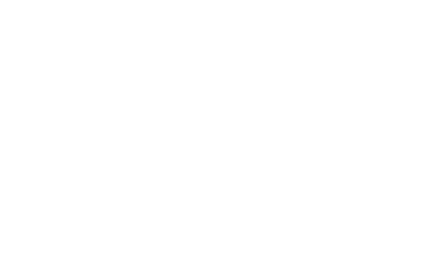 Dunham's Sports Logo